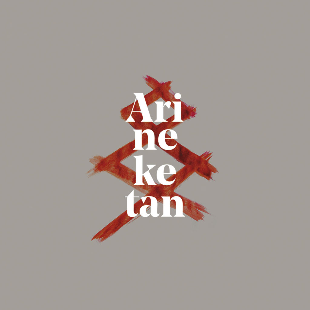 Arineketan Diska