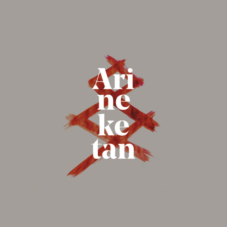 Arineketan Diska